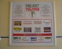Projekt Tulipan 2011 - Reklamní plocha